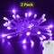 32ft Clear Cable LED String Lights – 100 Mini Bulbs, 8 Dynamic Modes, Energy-Saving
